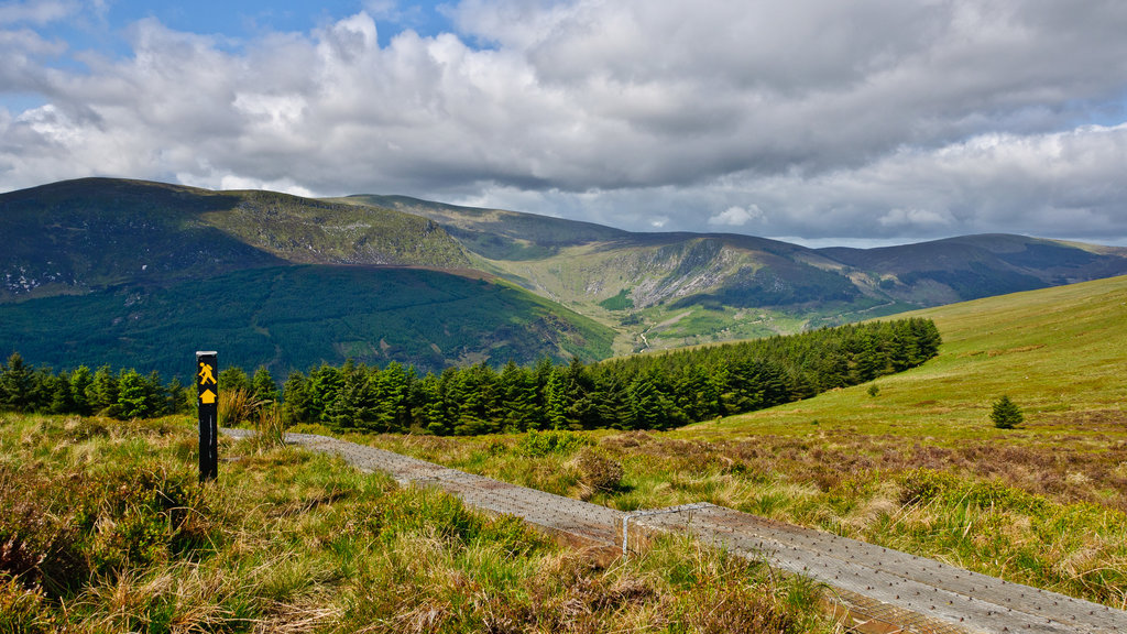 Wicklow Way Lugnaquilla