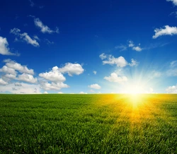 stock-photo-green-field-blue-sky-and-sun-250nw-340251011
