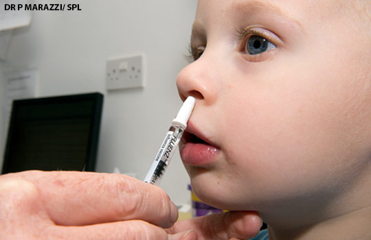 flu_vaccine-nasal